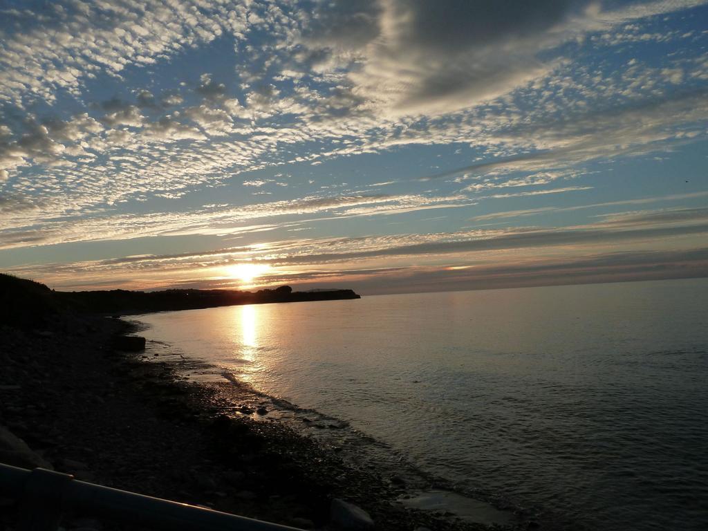 Court Farm Holiday Bungalows Ltd Watchet Esterno foto